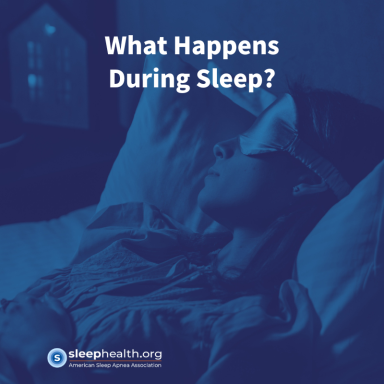 What Happens During Sleep? - SleepHealth